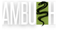 Ambush