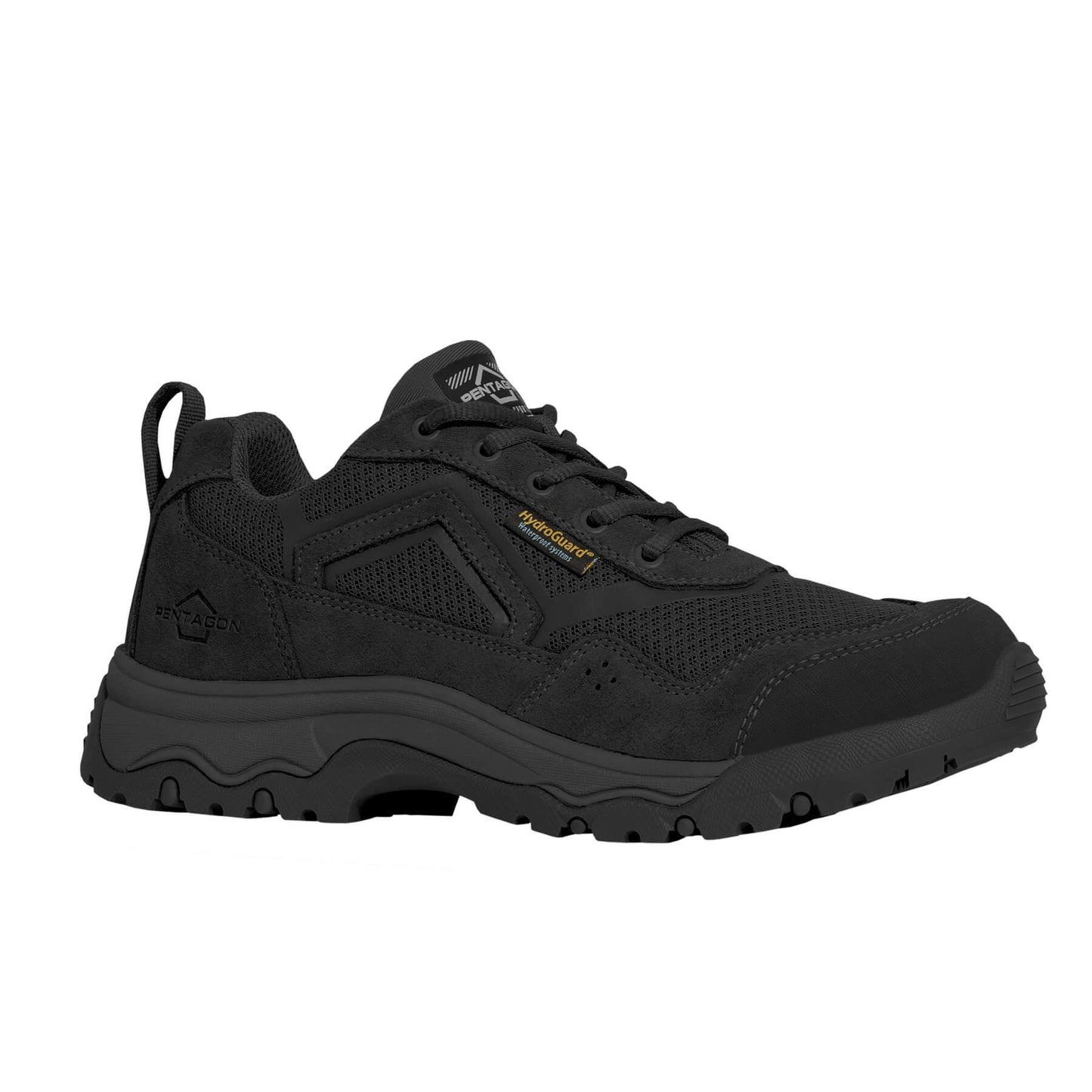 SCORPION V2 BLACK SUEDE 4" SHOES K15048