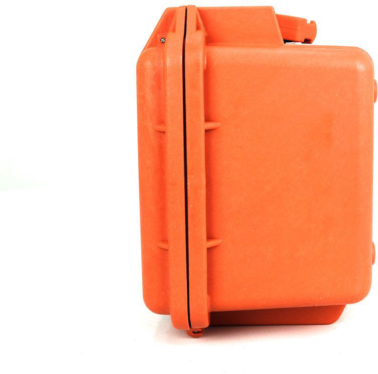 PELI 1300NF Protector Case